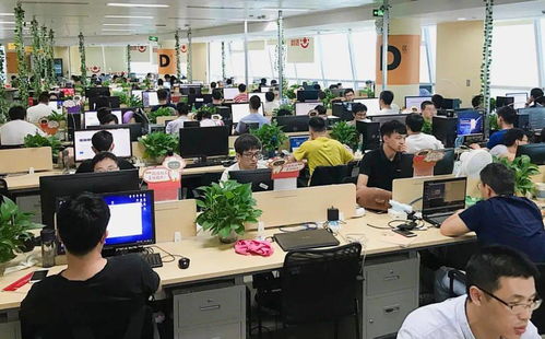 中通吉等8家區(qū)內(nèi)企業(yè)榮登2020上海軟件和信息技術(shù)服務(wù)業(yè)雙百名單